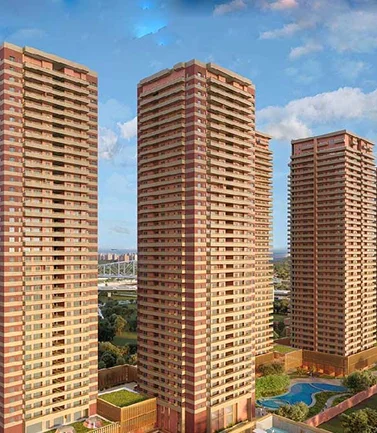 Overview Image