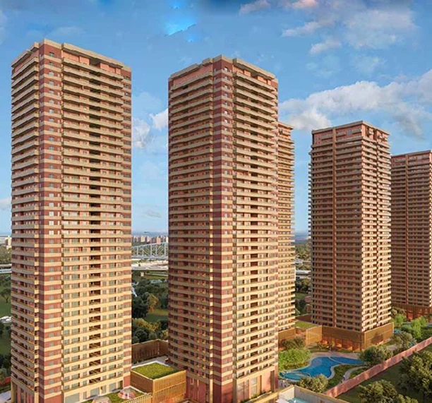 Overview Image